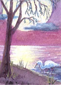 "Ibis In Moonlight" by Beth White, Beloit WI - Watercolor